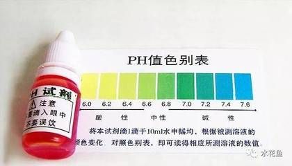 生石灰消毒对水质的影响：生石灰对水生生态的具体影响，如何科学使用生石灰消毒？ 其他宠物 第4张