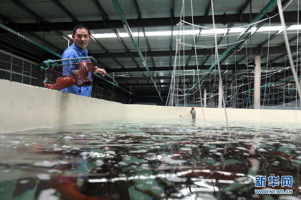 鱼类养殖水温控制技巧：鱼类养殖中水温控制技巧 其他宠物 第6张