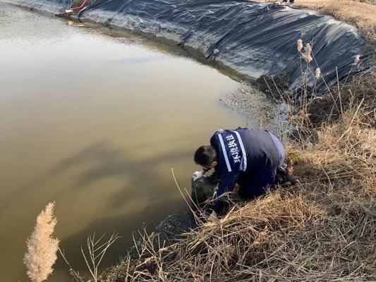 增氧机对水质改善效果：增氧机在水产养殖中具有改善水质、增加溶解氧含量、促进生物健康 其他宠物 第1张