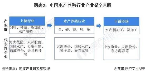 鱼苗饲料添加剂的科学配比方法：鱼苗饲料添加剂的科学配比方法包括以下几个方面 其他宠物 第2张