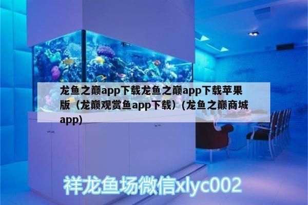 龙巅APP查询教程视频：使用龙巅app查询芯片的基本步骤 其他宠物 第1张