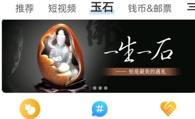 龙巅APP查询教程视频：使用龙巅app查询芯片的基本步骤 其他宠物 第3张