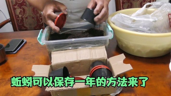 蚯蚓冷藏保存最佳温度：蚯蚓冷藏保存的最佳温度 其他宠物 第2张