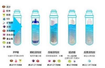 活性炭过滤效果对比：活性炭过滤器与其他常见过滤器对比 其他宠物 第3张