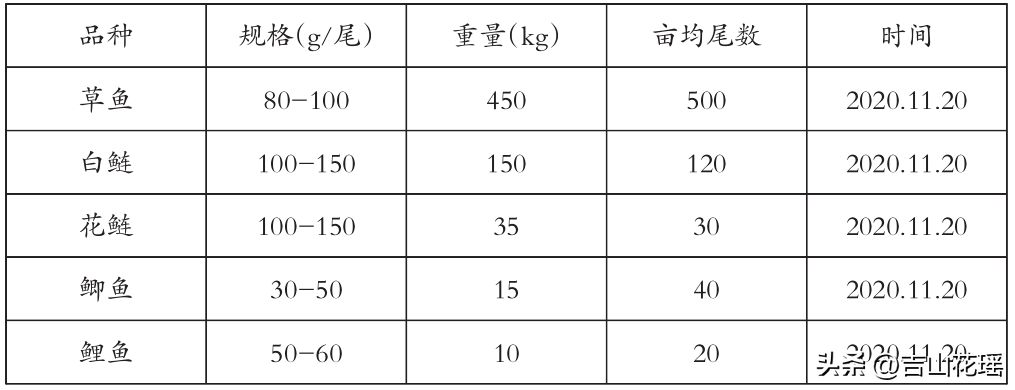 鱼苗饲料转换期水质调控要点：鱼苗饲料转换期投喂管理策略， 其他宠物 第1张