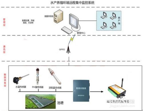 家庭养殖水质监测实用技巧：家庭养殖中水质的好坏直接影响养殖生物的生存、生长和健康状况 其他宠物 第4张