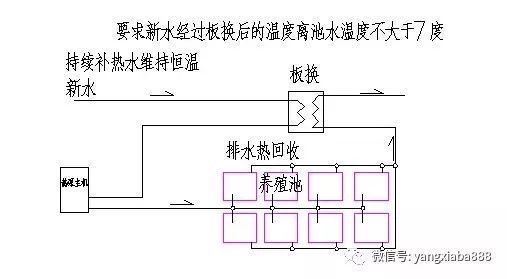 水产养殖中如何控制水温：工厂化养殖水温控制新技术不同季节水位调节技巧 其他宠物 第3张