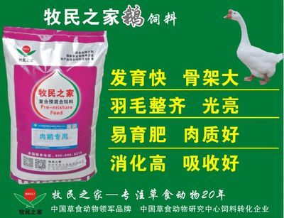 羽毛刀鱼苗饲料配方优化策略：羽毛刀鱼苗的饲料配方优化策略 其他宠物 第4张