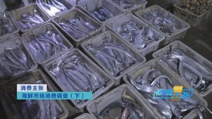 渔场直供海鲜的市场价格对比：海鲜市场价格波动因素 其他宠物 第2张