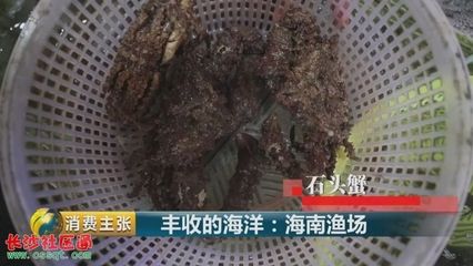 渔场直供海鲜的市场价格对比：海鲜市场价格波动因素 其他宠物 第3张