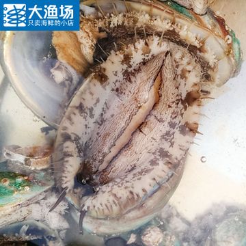 渔场直供海鲜的市场价格对比：海鲜市场价格波动因素 其他宠物 第5张