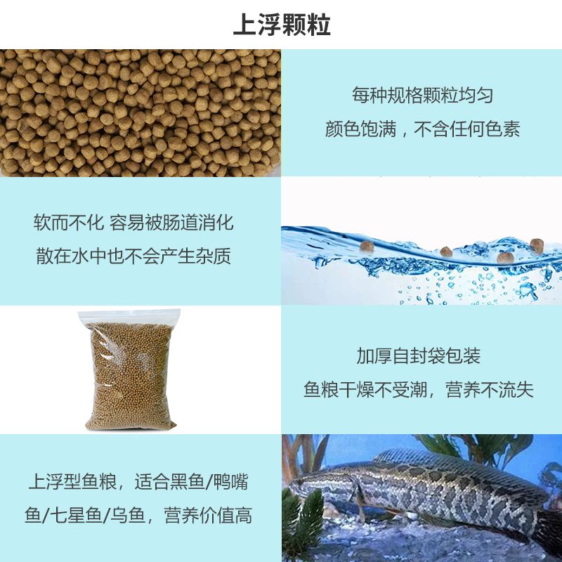 眼斑鱼饲料保存技巧：眼斑鱼饲料保存技巧摘要保持营养与安全，延长鱼类生命 其他宠物 第2张