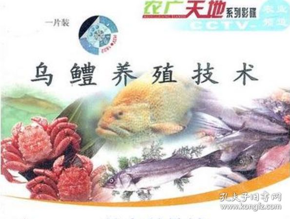 眼斑鱼饲料保存技巧：眼斑鱼饲料保存技巧摘要保持营养与安全，延长鱼类生命 其他宠物 第4张