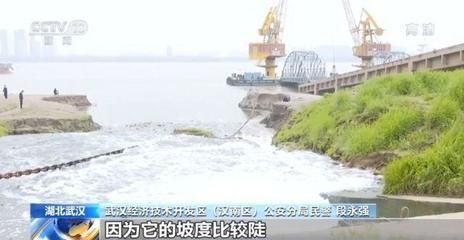 长江保护法补偿标准查询：《长江保护法》确立生态保护补偿基本框架具体补偿标准 其他宠物 第5张