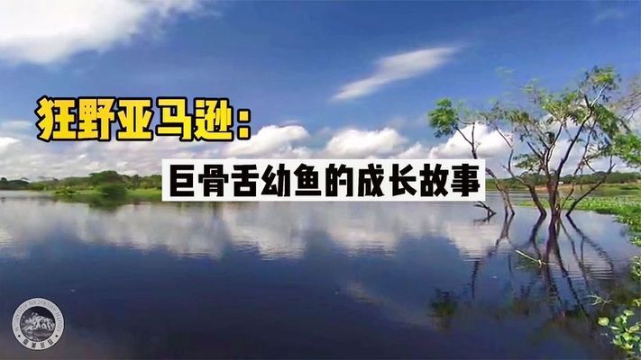 亚马逊河流大型鱼类对幼鱼影响：亚马逊河大型鱼类对幼鱼的影响 其他宠物 第1张