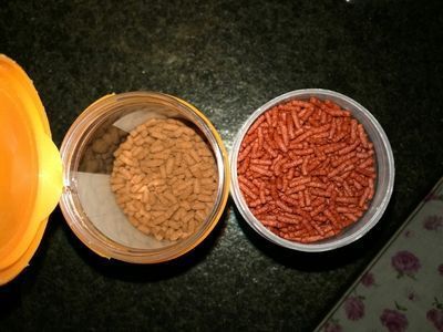 黑桃A鱼苗饲料自制方法：黑桃a鱼苗专用饲料品牌推荐 其他宠物 第4张