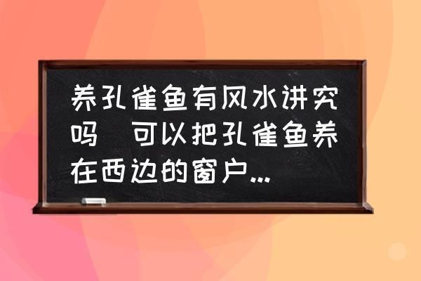 孔雀鱼提升运势的方法：如何通过饲养孔雀鱼来提升个人或家庭的运势 其他宠物 第3张