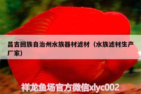 三间鼠鱼滤材布置技巧：三间鼠鱼水质管理 其他宠物 第1张