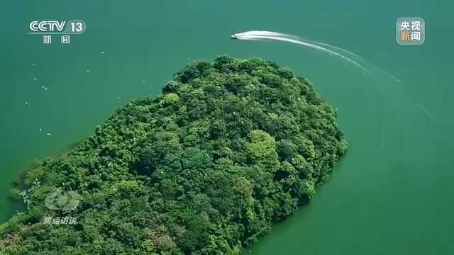 胭脂孔雀鱼的水质要求：如何防治孔雀鱼疾病,孔雀鱼混养注意事项 其他宠物 第5张