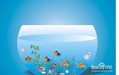 水族箱过滤器哪种效果好：如何选择水族箱过滤器 其他宠物 第1张