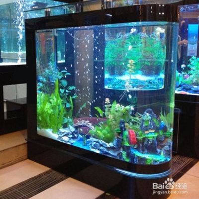 水族箱过滤器哪种效果好：如何选择水族箱过滤器 其他宠物 第4张