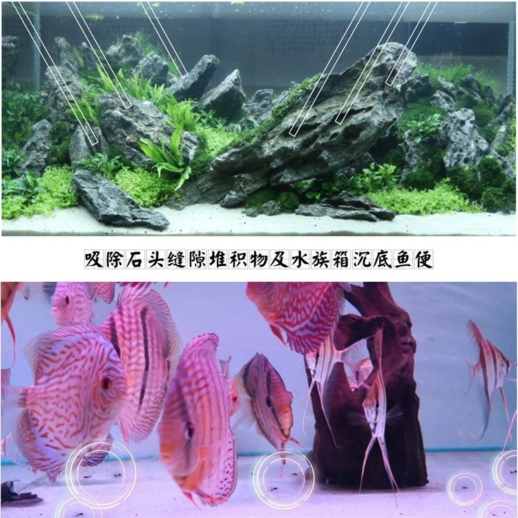 水族箱底沙清洁方法：水族箱底沙的清洁对于维护水质和鱼类健康至关重要 其他宠物 第2张