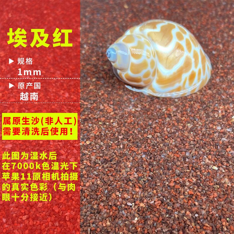 水族箱底沙清洁方法：水族箱底沙的清洁对于维护水质和鱼类健康至关重要 其他宠物 第6张