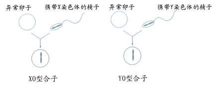 如何利用遗传标记选育鱼种：利用遗传标记选育鱼种 其他宠物 第4张