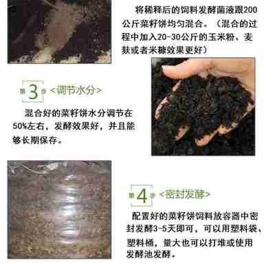 星钻鱼繁殖期饲料保存技巧：星钻鱼繁殖期营养需求分析 其他宠物 第1张