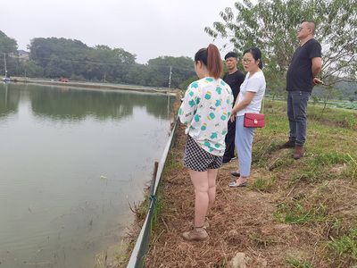 水质检测对鱼苗健康的影响：水质检测对于鱼苗健康的影响 其他宠物 第6张