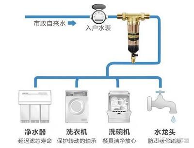 如何选择适合的过滤系统：如何选择适合的鱼缸过滤系统 其他宠物 第4张