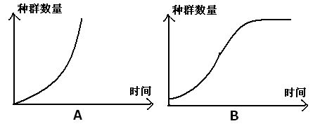 溶解氧不足对鱼苗免疫影响：溶解氧不足对鱼苗免疫力的影响 其他宠物 第4张