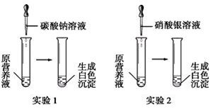 硝酸银溶液的配制方法：硝酸银溶液的制作方法 其他宠物 第6张