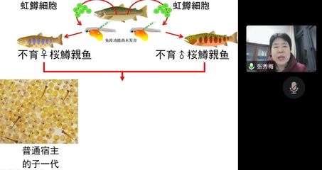 朱巴利鱼繁殖行为变化：朱巴利鱼的繁殖行为的生态意义 其他宠物 第5张