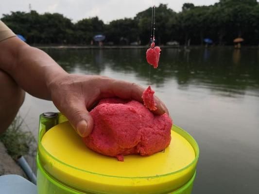 鱼苗饲料防潮小妙招：鱼苗饲料防潮小妙招，有效防止鱼苗在饲料中受潮变质 其他宠物 第3张