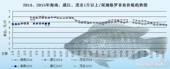 如何预测节日期鱼价波动：节日期鱼价波动对比研究，预测未来节假日的鱼价波动 其他宠物 第5张