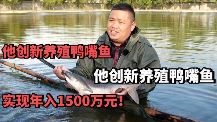 水库养殖月光鸭嘴鱼的优势：水库养殖月光鸭嘴鱼具有多方面优势 其他宠物 第5张