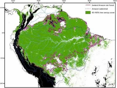 亚马逊河生物多样性保护策略：亚马逊河生物多样性保护 其他宠物 第1张