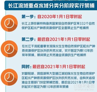 渔民社会保障政策解读：关于渔民社会保障政策的解析 其他宠物 第4张