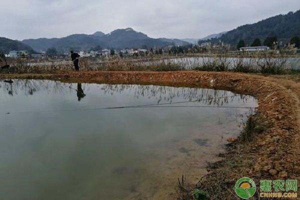 鱼塘水质调控冬季策略：冬季鱼塘水质调控的关键在于保持水质的良好状态确保鱼类能够安全越冬 其他宠物 第2张