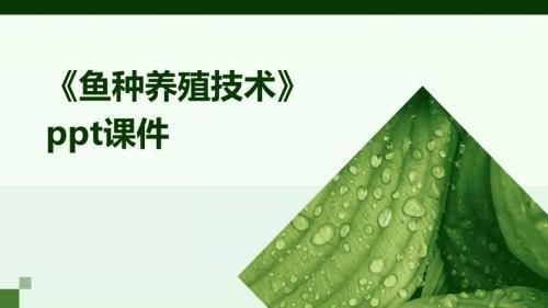 鱼苗饲料湿度控制技巧：鱼苗饲料最佳湿度范围,不同季节湿度控制策略 其他宠物 第5张