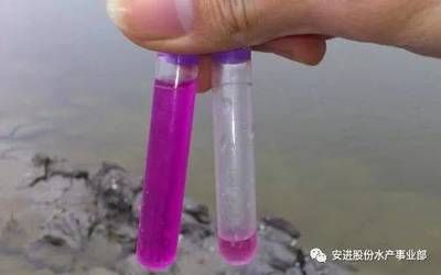 如何检测水质中的硝酸盐：水质中的硝酸盐含量可以通过多种方法检测，具体选择方法 其他宠物 第5张