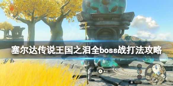 塞尔达BOSS战地形利用方法：《塞尔达传说》系列游戏中利用地形对抗boss的方法 其他宠物 第1张