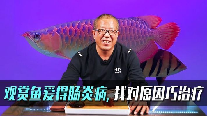 如何诊断招财鱼肠炎病：招财鱼肠炎病的诊断 其他宠物 第1张