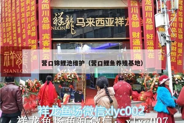 七纹巨鲤鱼幼鱼专用饲料：七纹巨鲤鱼幼鱼专用饲料配方推荐七纹巨鲤鱼幼鱼喂养注意事项 其他宠物 第1张