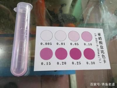 水族箱水质检测的具体步骤：水族箱水质检测具体步骤 其他宠物 第2张