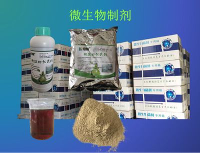 微生物制剂选择指南：微生物制剂安全性评估标准微生物制剂安全性评估标准 其他宠物 第1张