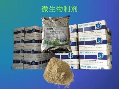 微生物制剂选择指南：微生物制剂安全性评估标准微生物制剂安全性评估标准 其他宠物 第2张