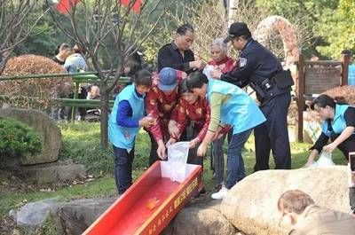 龙鱼纹身图：关于龙鱼纹身的疑问 水族问答 第1张