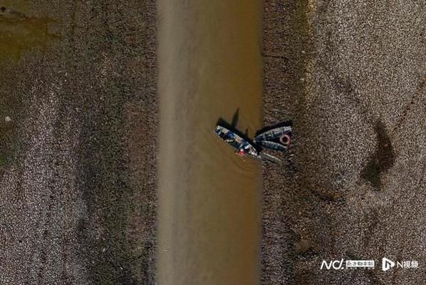 亚马逊河鱼类迁徙对生态影响：亚马逊河鱼类迁徙对当地生态系统具有重要影响 其他宠物 第4张